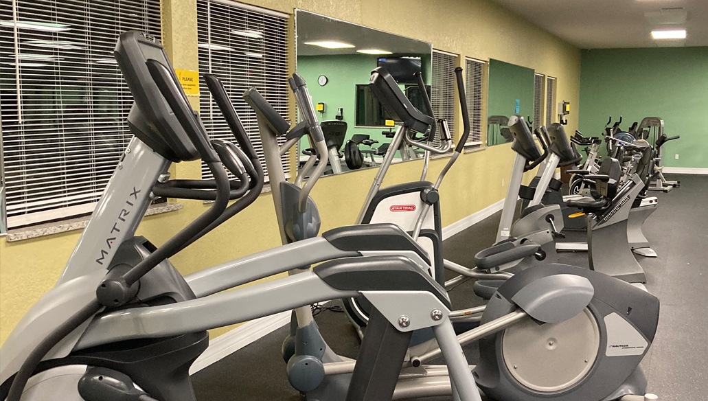 ellipticals and reclining bikes - picture